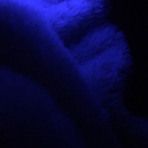 Meet your Posher, Bethashleigh